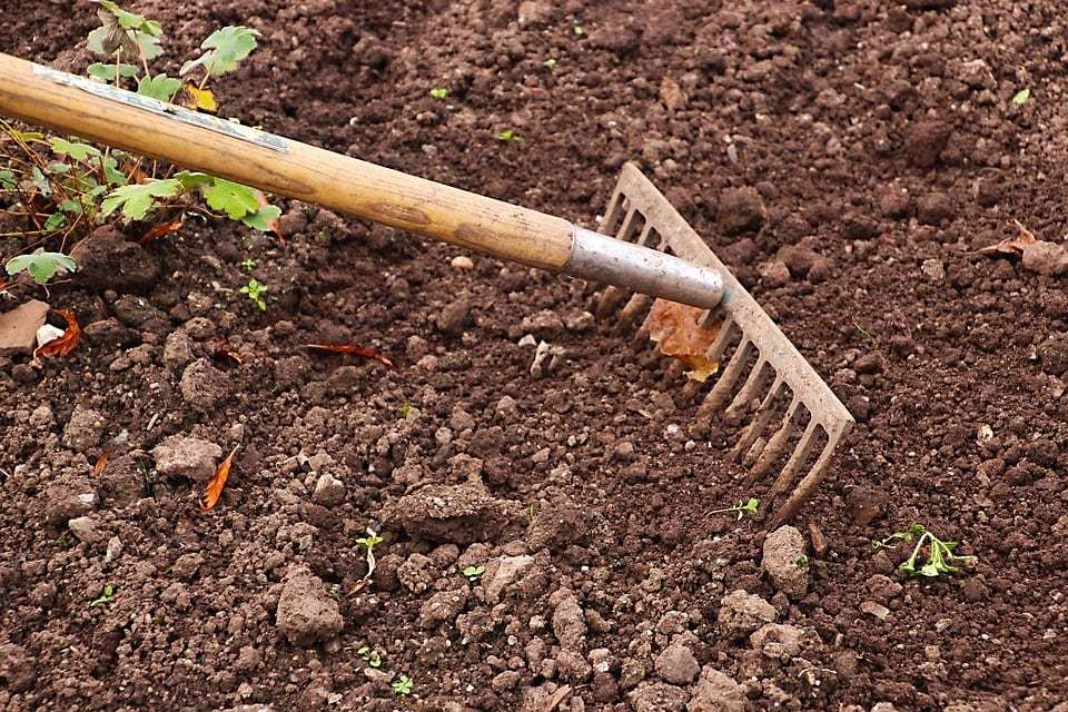 Comment créer facilement un potager dans des sacs de plantation ?
