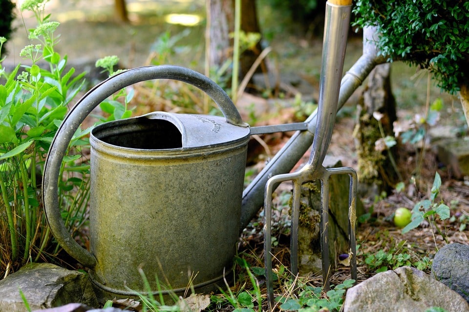 Comment optimiser l'aménagement de vos espaces verts